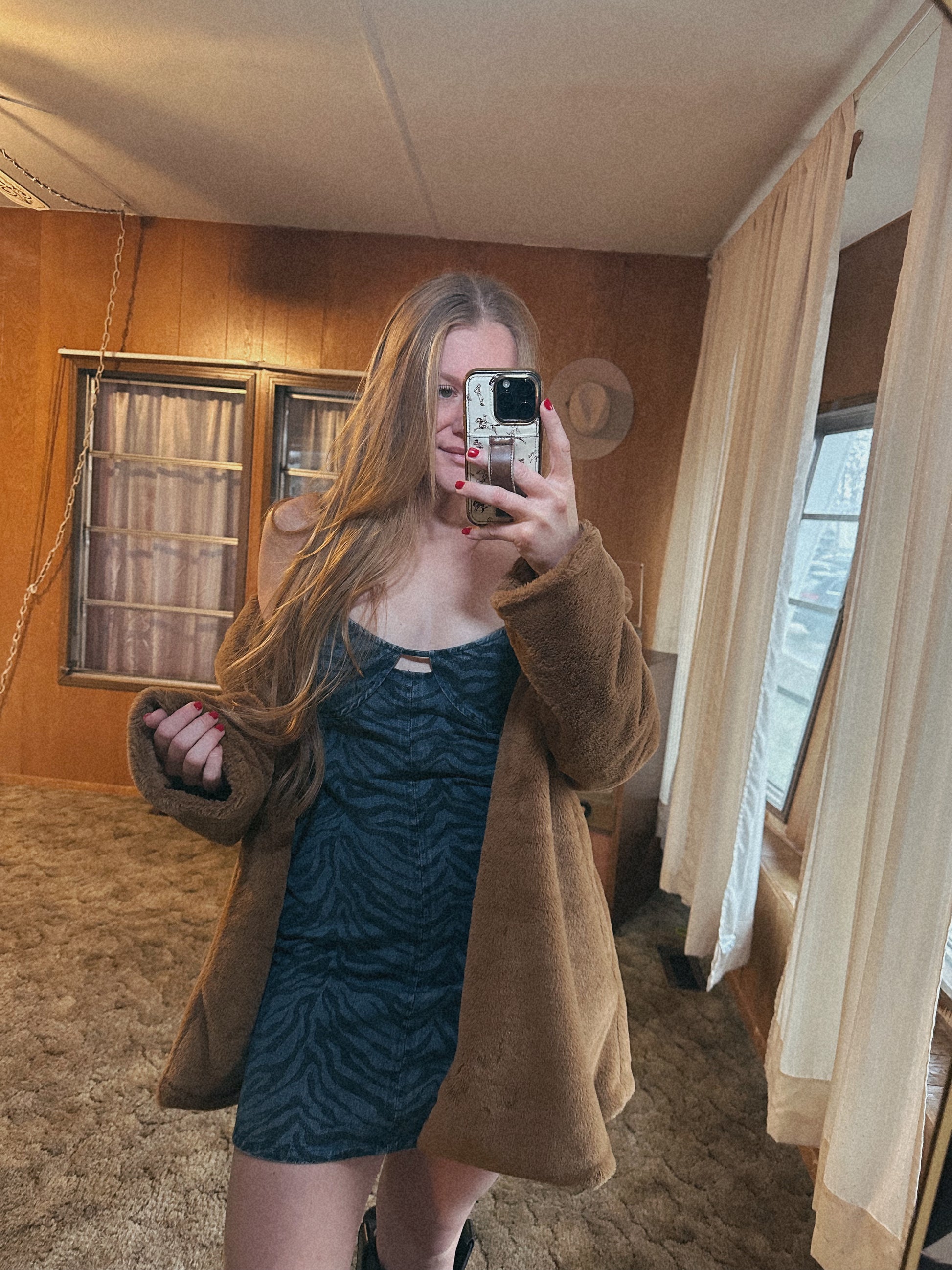 Zebra Print Mini Dress