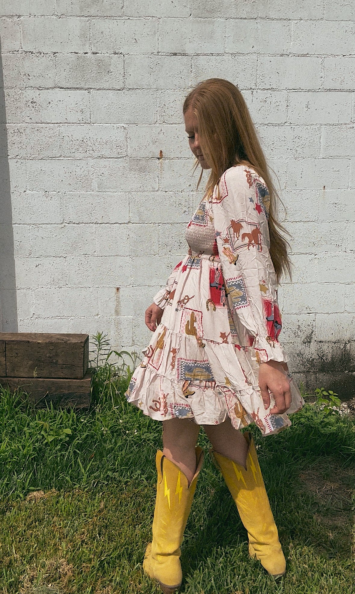Lone Star Western Print Dress
